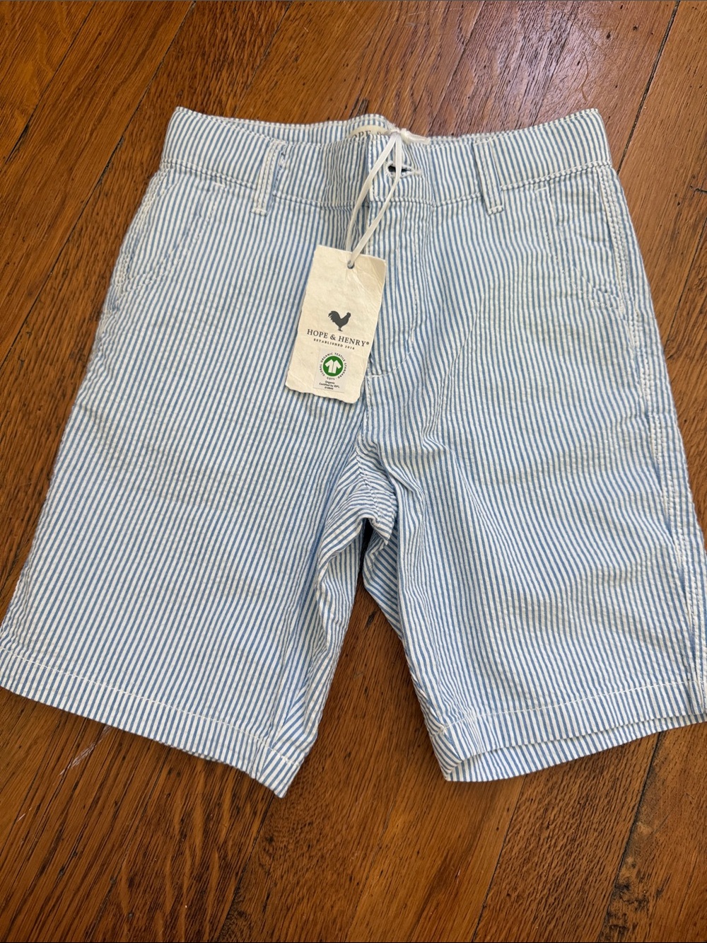 Boys Light Blue Seersucker Shorts
